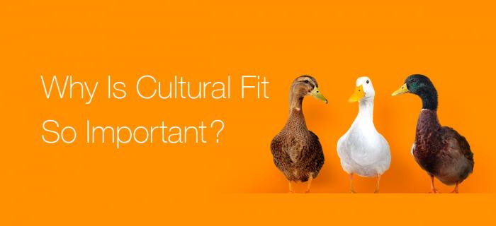 Why Is Cultural Fit So Important?